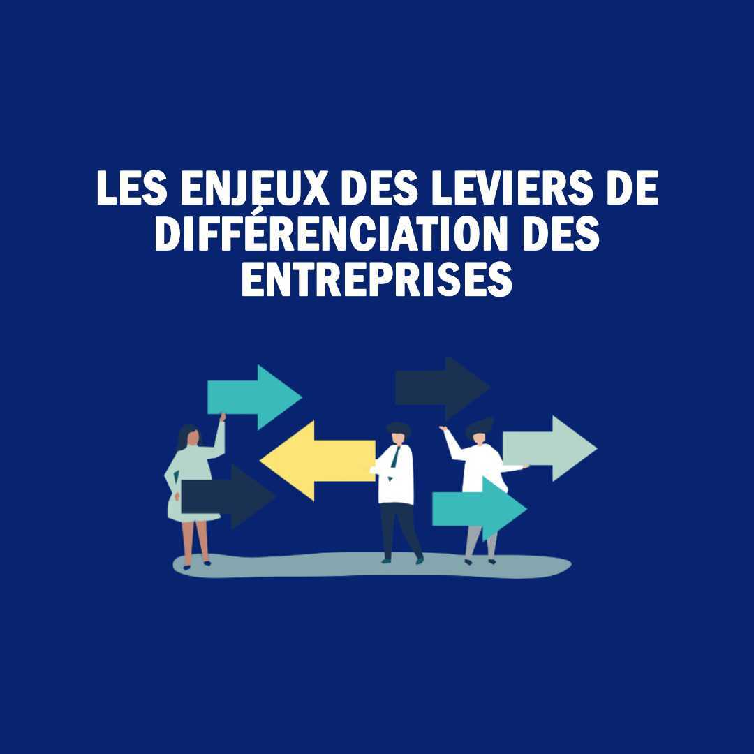 LES ENJEUX DES LEVIERS DE DIFFÉRENCIATION DES ENTREPRISES